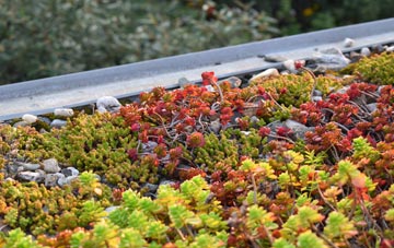 the cost of Gidea Park green roof installation